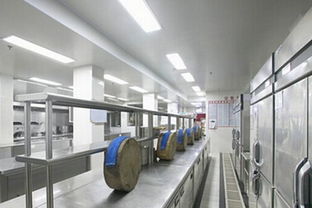 節(jié)能環(huán)保引領(lǐng)革新 廚房設(shè)備行業(yè)如何以綠色戰(zhàn)略贏取競爭優(yōu)勢